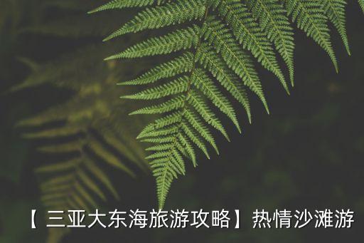 【 三亞大東海旅游攻略】熱情沙灘游
