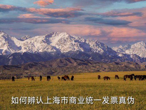 上海發票查詢,上海增值稅普通發票怎么查詢真偽?