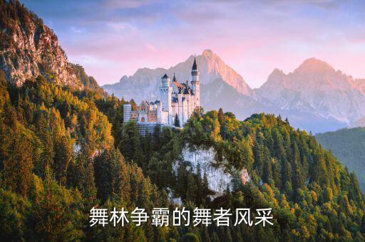 舞林爭霸的舞者風采