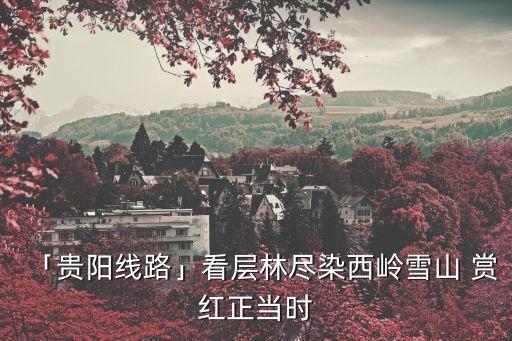 「貴陽線路」看層林盡染西嶺雪山 賞紅正當(dāng)時