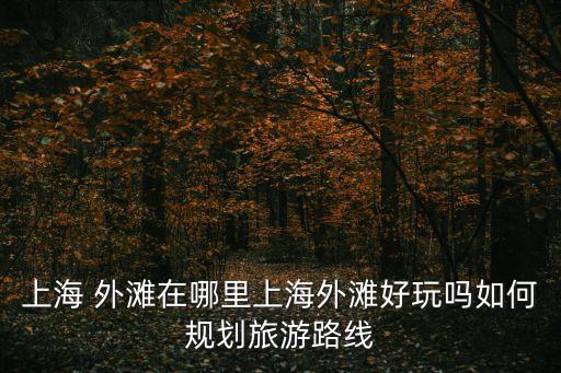 上海 外灘在哪里上海外灘好玩嗎如何規(guī)劃旅游路線