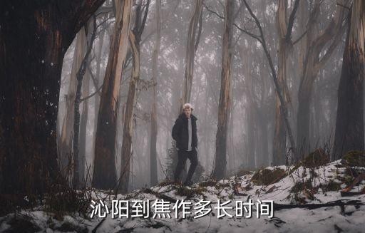 焦桐高速,從聊城到岳陽洞庭湖高速路怎么走?