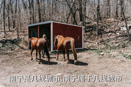南寧是幾線城市,南寧屬于幾線城市