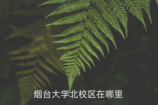 山東省煙臺市,山東煙臺市四區劃分東北瀕臨黃海