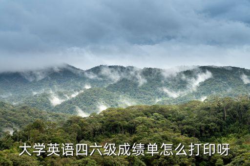 大學英語四六級成績單怎么打印呀