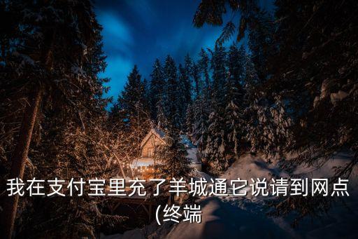 羊城通充值,羊城通怎么充值?