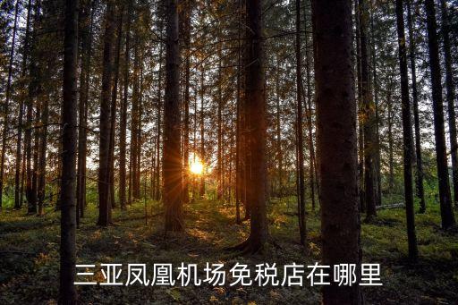三亞免稅店電話,三亞免稅店在哪里?