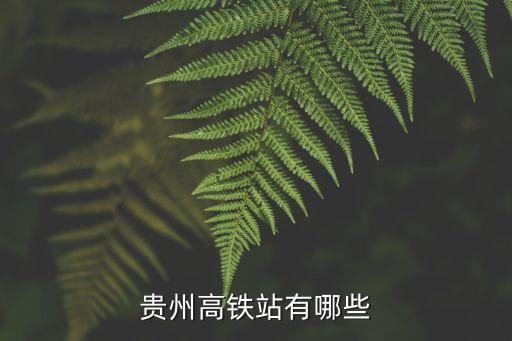 貴陽(yáng)幾個(gè)高鐵站,去貴陽(yáng)坐高鐵到哪個(gè)站?