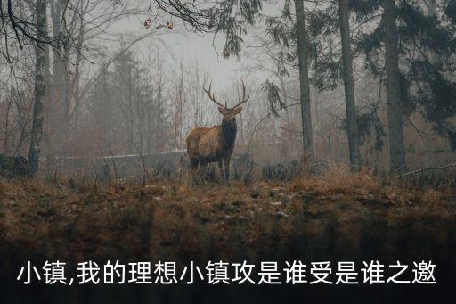 希望小鎮(zhèn),我的理想小鎮(zhèn)攻是誰受是誰之邀