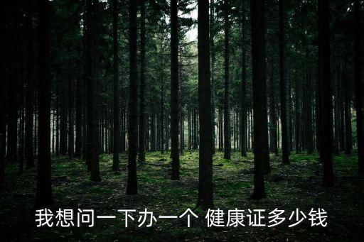 我想問一下辦一個 健康證多少錢