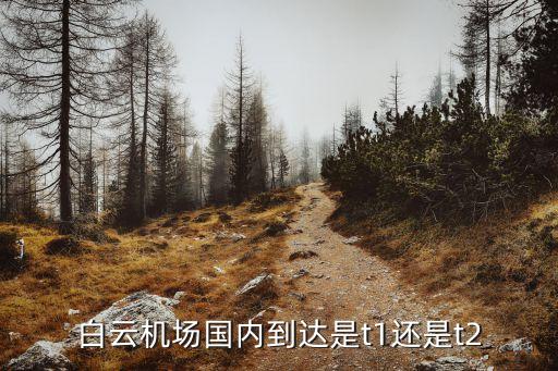 白云機場T1,廣州白云機場出口在哪接機?