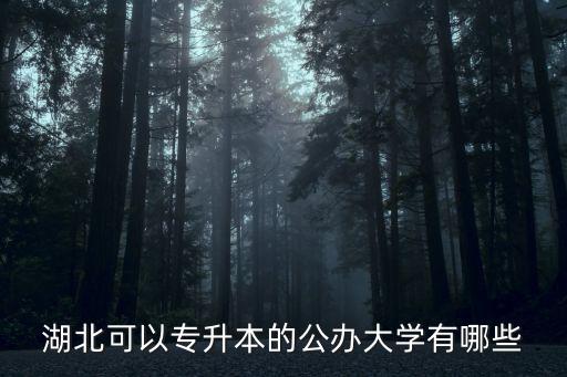 湖北可以專升本的公辦大學(xué)有哪些