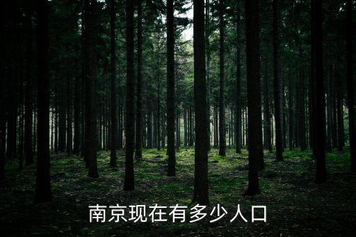 南京現(xiàn)在有多少人口
