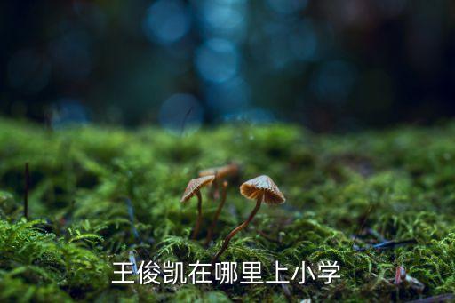 王俊凱在哪里上小學