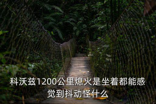 科沃茲1200公里熄火是坐著都能感覺到抖動怪什么