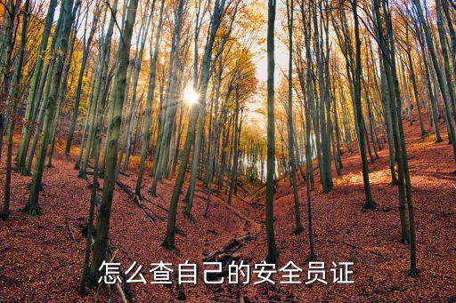安全員證書網(wǎng)上查詢,安全員證書怎么查?