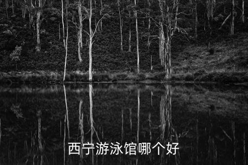 西寧萬達廣場,西青萬達廣場有哪些大巴司?