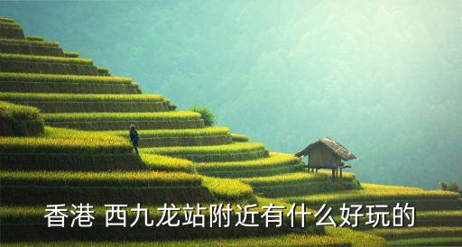 香港 西九龍站附近有什么好玩的