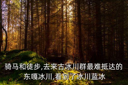 東嘎,中國西藏東部地區考古遺址介紹