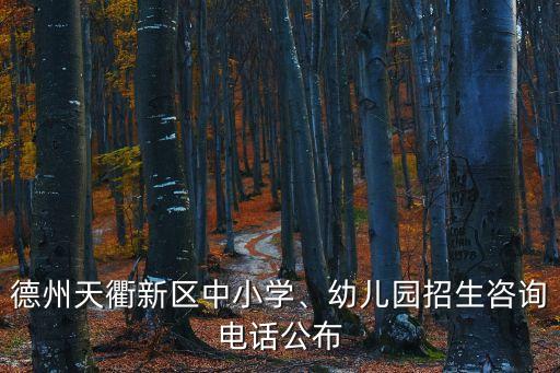 德州天衢新區中小學、幼兒園招生咨詢電話公布