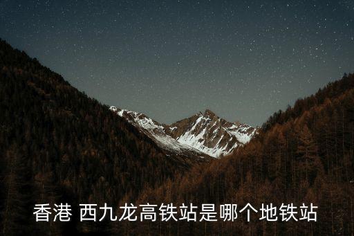 西九龍,香港西九龍過關流程:1.身份驗證