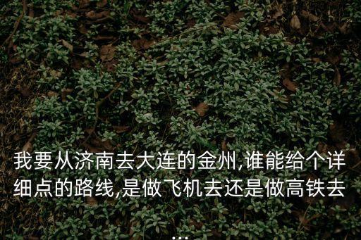 我要從濟(jì)南去大連的金州,誰能給個詳細(xì)點的路線,是做飛機去還是做高鐵去...