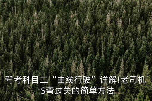 駕考科目二“曲線行駛”詳解!老司機:S彎過關的簡單方法