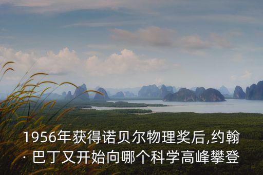 巴丁,