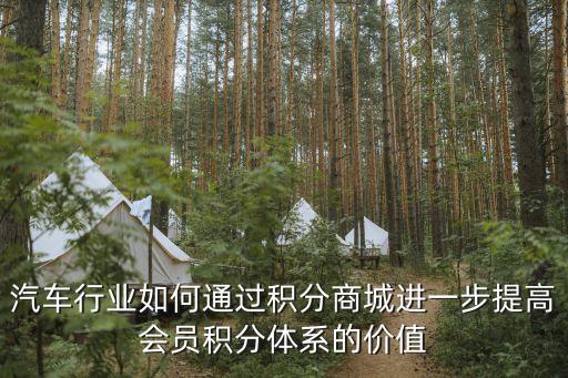 汽車行業如何通過積分商城進一步提高會員積分體系的價值
