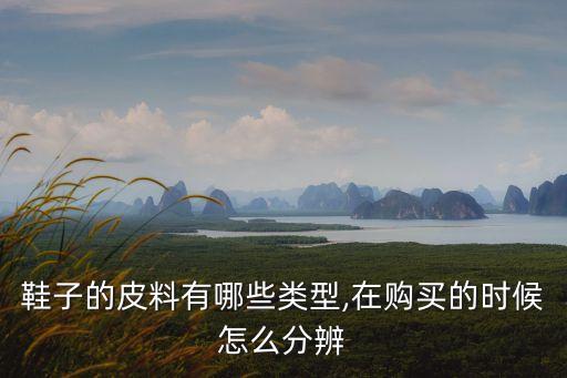 鞋子的皮料有哪些類型,在購(gòu)買的時(shí)候怎么分辨