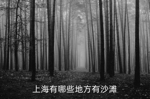 上海有哪些地方有沙灘