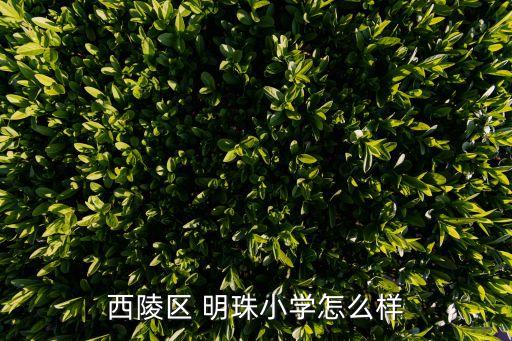 西陵區(qū) 明珠小學(xué)怎么樣