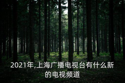 上海教育頻道,東方衛視教育頻道和上海電視臺之爭