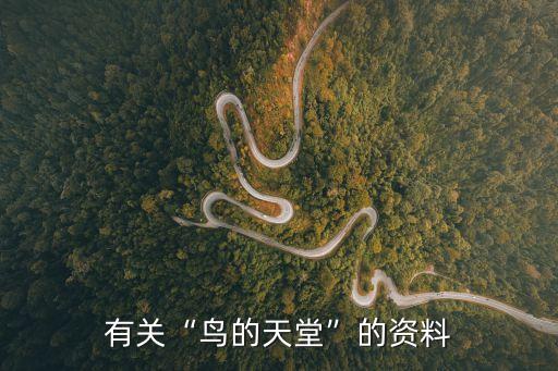 小鳥天堂,鳥的天堂