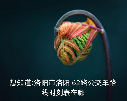 62路公交車路線,南寧62路公交車行程表