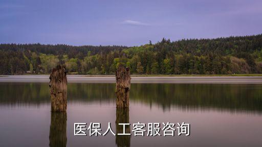 醫(yī)保人工客服咨詢
