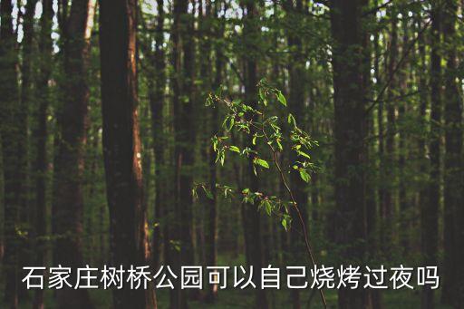 石家莊樹(shù)橋公園可以自己燒烤過(guò)夜嗎