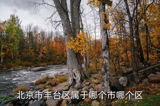 大灰廠村,從豐臺區大灰廠村到北京市朝陽站怎么走?