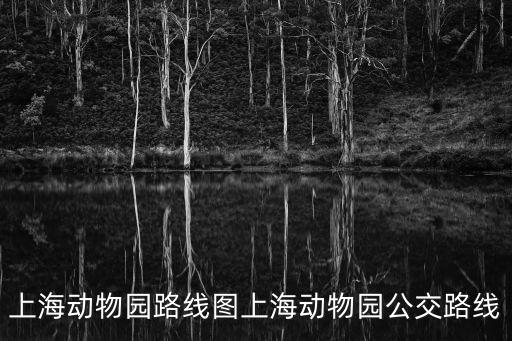 乘車(chē)線路查詢(xún),國(guó)外車(chē)次路線查詢(xún)