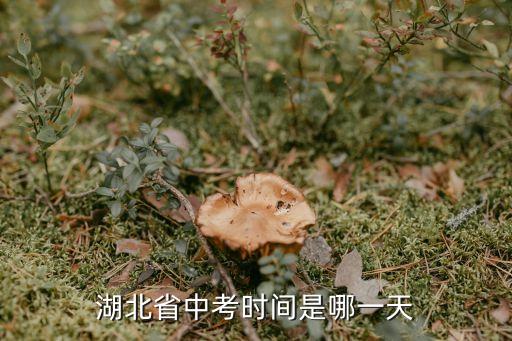 2023年中考是哪一天,2023年中考時間表