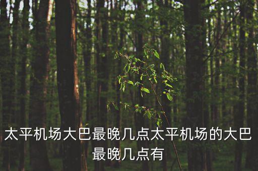太平機場大巴最晚幾點太平機場的大巴最晚幾點有