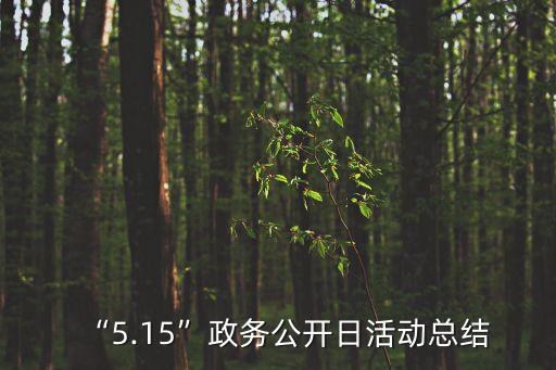 “5.15”政務公開日活動總結