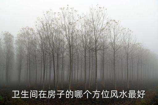 廁所在哪里,農村院子里廁所位置有講究什么樣的廁所最好?