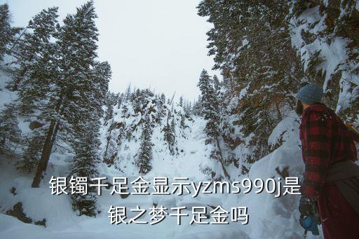 銀鐲千足金顯示yzms990j是 銀之夢千足金嗎