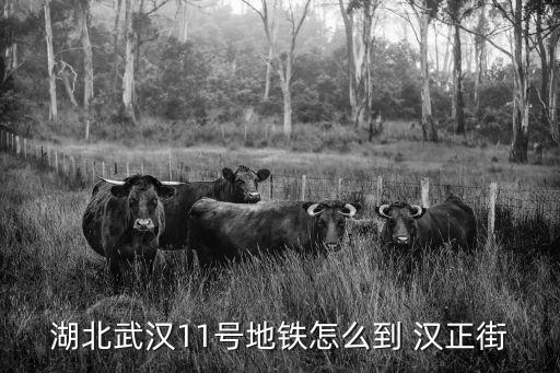 漢正街,從火車站到漢正街