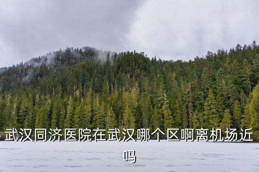 武漢同濟醫院地址,武漢同濟醫院地址出口較多地鐵線路多有轉口
