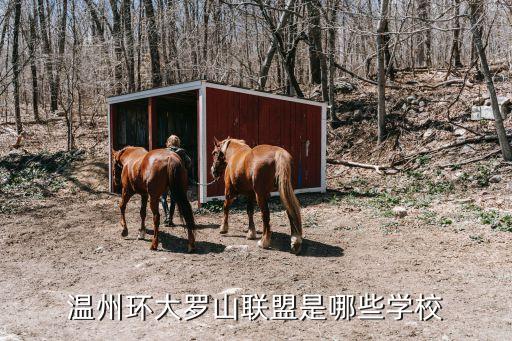 溫州市第二實驗中學,溫州第二實驗中學中考成績