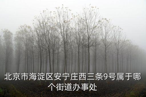 北京市海淀區安寧莊西三條9號屬于哪個街道辦事處