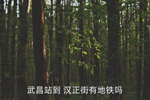 武昌站到 漢正街有地鐵嗎