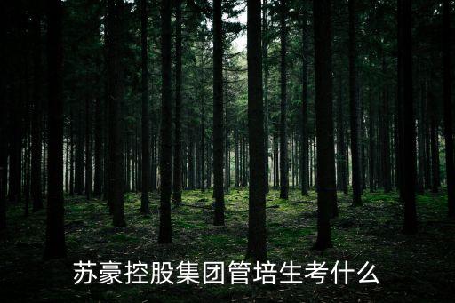 江蘇蘇豪,蘇豪集團是什么級別?